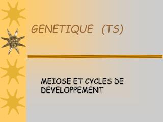 GENETIQUE (TS)