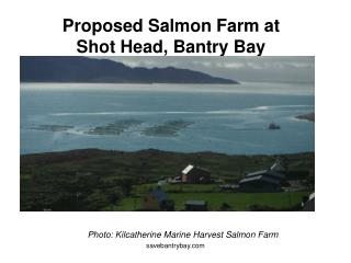 Proposed Salmon Farm at Shot Head, Bantry Bay