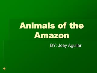 Animals of the Amazon