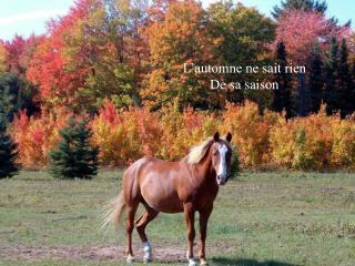 L’automne ne sait rien De sa saison