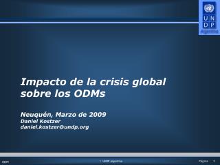 Impacto de la crisis global sobre los ODMs Neuquén, Marzo de 2009 Daniel Kostzer