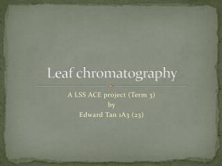 Leaf chromatography