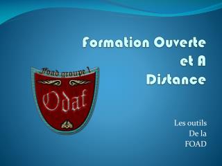 Formation Ouverte et A Distance
