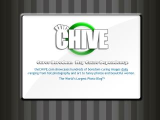 theCHIVE showcases hundreds of boredom-curing images daily