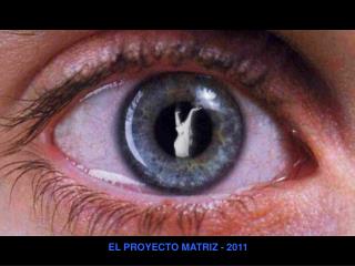 EL PROYECTO MATRIZ - 2011