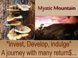 Mystic Mountain