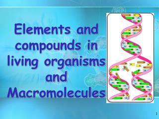Elements and compounds in living organisms and Macromolecules