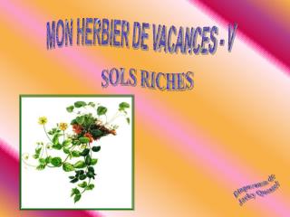 MON HERBIER DE VACANCES - V