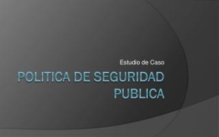 Politica de seguridad publica