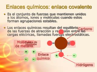 Enlaces químicos: enlace covalente