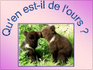 Qu'en est-il de l'ours ?