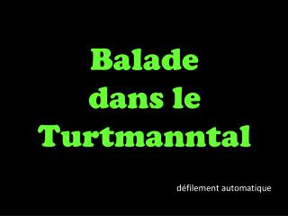 Balade dans le Turtmanntal