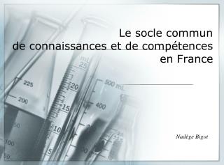 Le socle commun de connaissances et de compétences en France