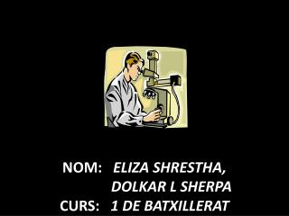 NOM : ELIZA SHRESTHA, DOLKAR L SHERPA CURS: 1 DE BATXILLERAT