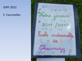 JURY 2012 2 Coccinelles