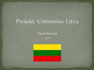 Projekt Comenius-Litva