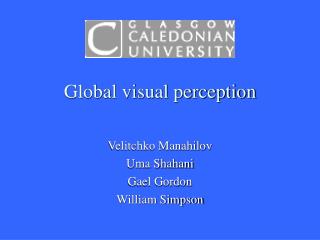 Global visual perception