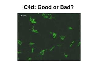 C4d: Good or Bad?