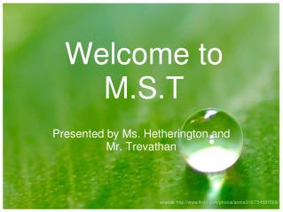 Welcome to M.S.T