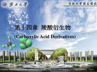 第十四章 羧酸衍生物 (Carboxylic Acid Derivatives)