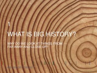 WHAT IS BIG HISTORY?