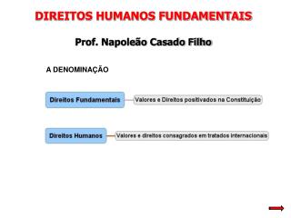 DIREITOS HUMANOS FUNDAMENTAIS Prof. Napoleão Casado Filho