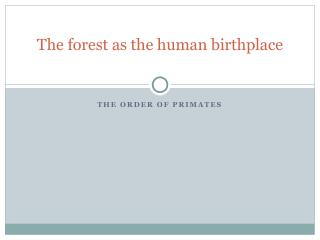 The forest as the human birthplace