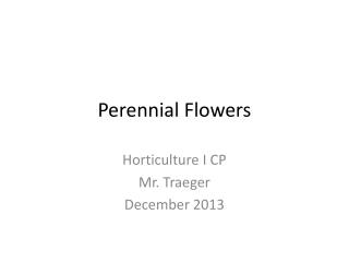 Perennial Flowers