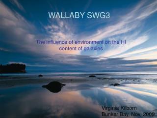 WALLABY SWG3