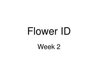 Flower ID