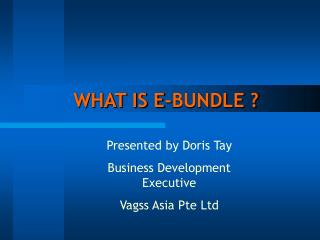 WHAT IS E-BUNDLE ?