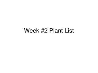 Week #2 Plant List