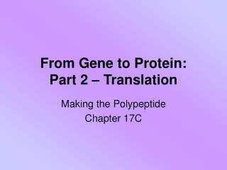 From Gene to Protein: Part 2 – Translation