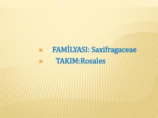 FAMİLYASI: Saxifragaceae TAKIM:Rosales