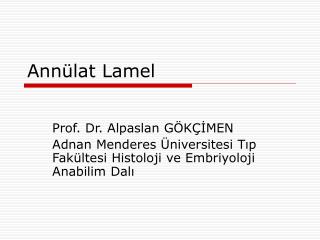 Annülat Lamel