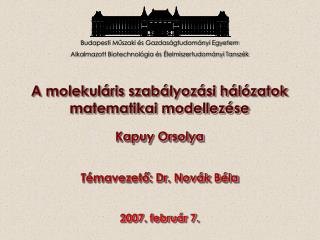 A molekuláris szabályozási hálózatok matematikai modellezése