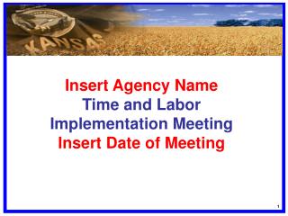 Insert Agency Name Time and Labor Implementation Meeting Insert Date of Meeting