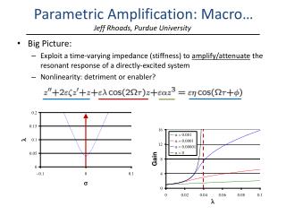 Parametric Amplification: Macro…