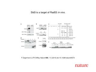 P Zegerman &amp; JFX Diffley Nature 000 , 1-5 (2010) doi:10.1038/nature09373