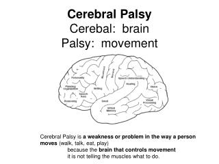 Cerebral Palsy Cerebal: brain Palsy: movement
