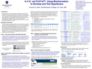 Is it E. coli O157:H7? Using Bioinformatics to Develop and Test Hypotheses