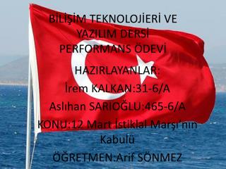 BİLİŞİM TEKNOLOJİERİ VE YAZILIM DERSİ PERFORMANS ÖDEVİ