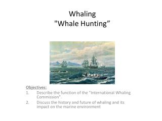 Whaling &quot;Whale Hunting”