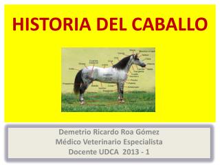 HISTORIA DEL CABALLO