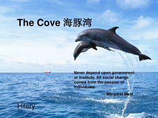The Cove 海豚湾