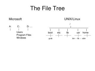 The File Tree