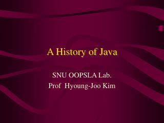 A History of Java