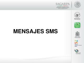 MENSAJES SMS