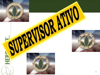 SUPERVISOR ATIVO