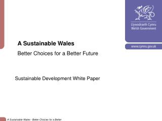 A Sustainable Wales Better Choices for a Better Future